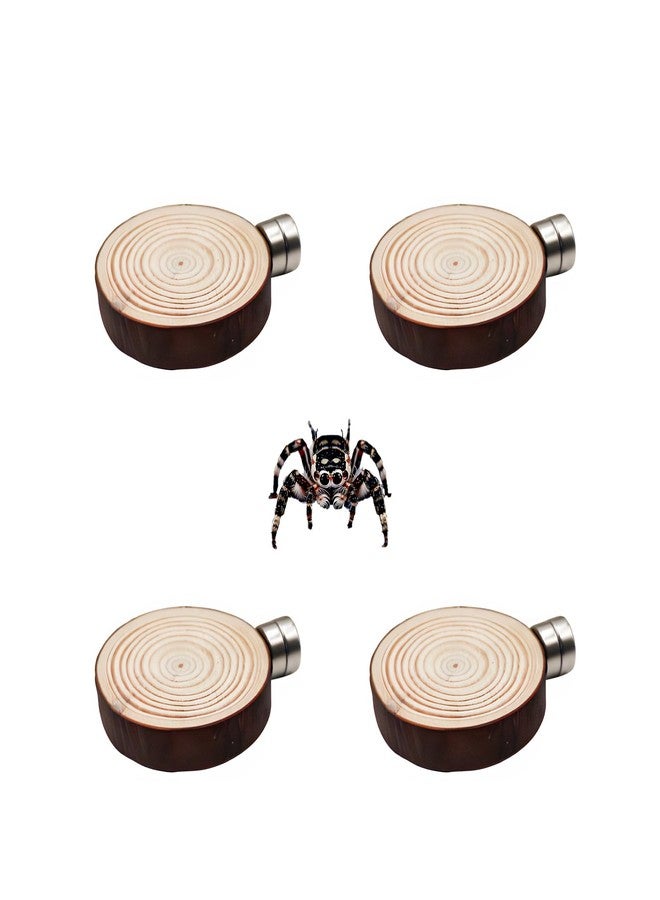 MHLLGN Jumping Spider Accessories, 4 Pack Wooden Ledges with Magnets, Natural Pine Spiders Ledges, Jumping Spider Enclosure Accessories, Magnetic Reptile Ledge - Image 1